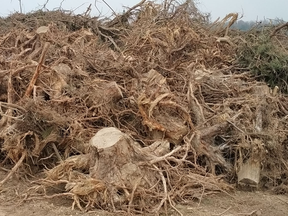Tree Root and Stump Processing Solution with JP3600, JP5000 and JP7000 Disc Wood Chippers