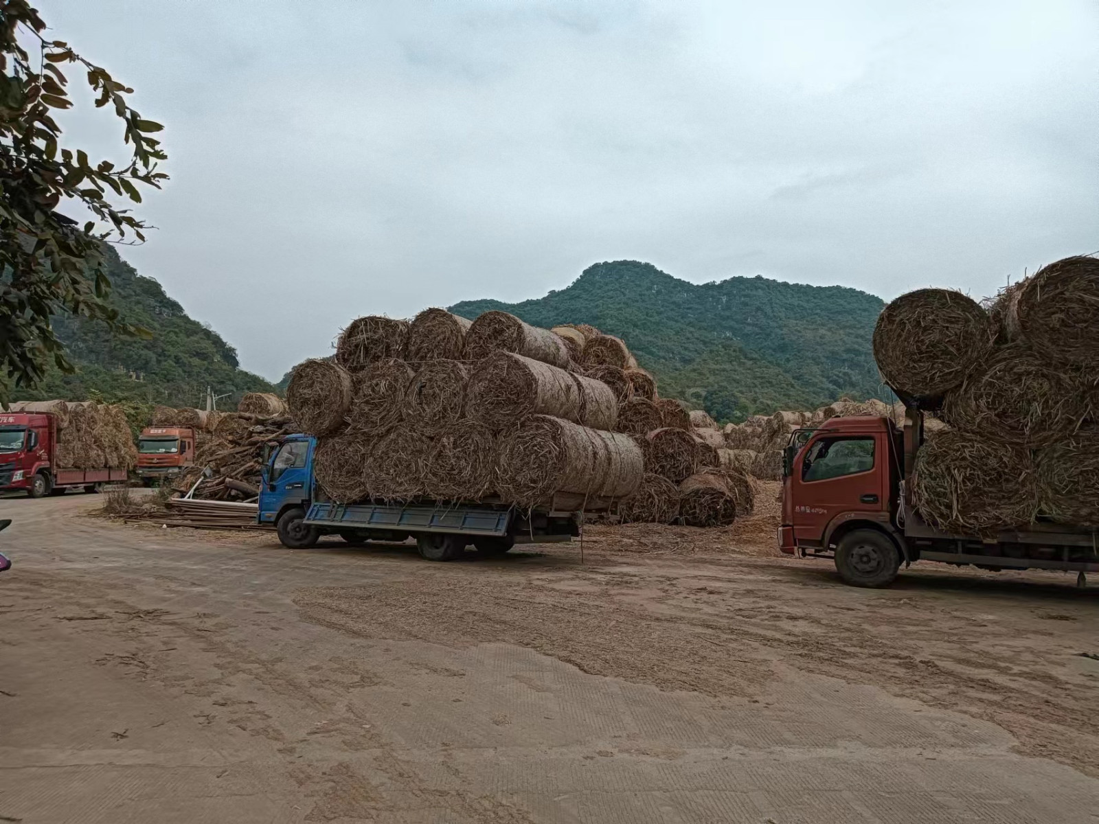 Straw Bale Shredding Solution with Double Shaft Shredders